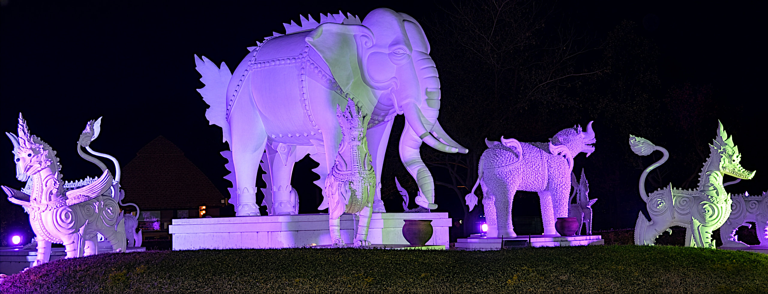 Chiang Mai Night Safari