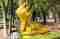 Golden Reclining Buddha On Protective Naga