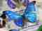 Siam Insect Zoo blue butterfly