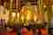 Wat Chedi Luang standing Golden Buddhas