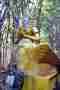 Wat Doi Khao Kwai Kinnari celestial being