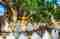 Wat Doi Saket Guardian Deity