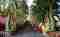 Wat Phrathat Doi Wao Naga staircase entry