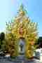 Wat Rong Khun golden shrine